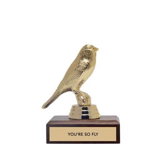 Encouragement Trophy - "YOU&