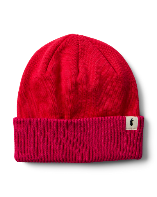 Alto 2.0 Beanie, Pitaya and Spicy