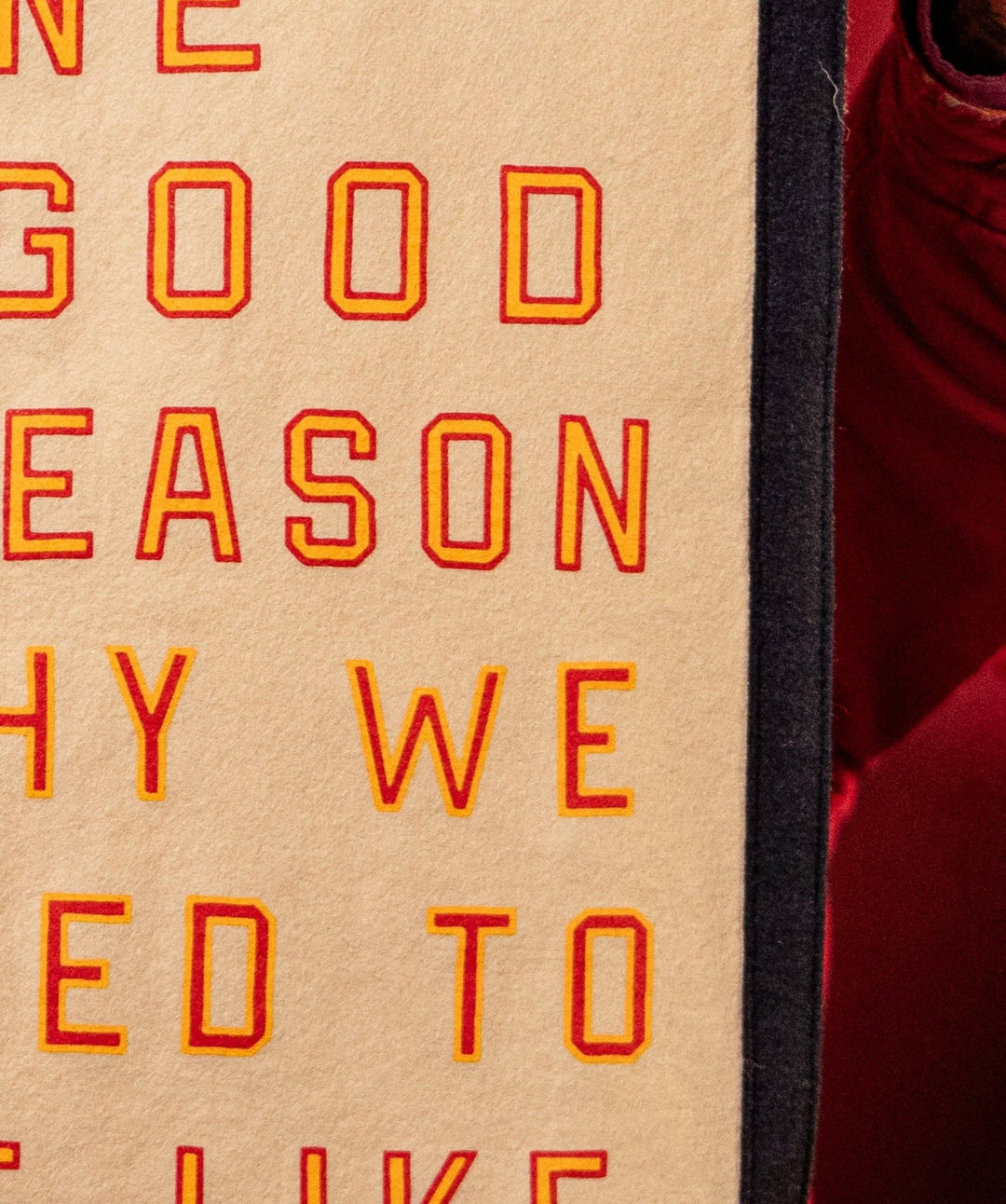 Give Me One Good Reason Why We Need To Be Like Them Camp Flag • Blink-182 x Oxford Pennant - Davidson Provision Co.