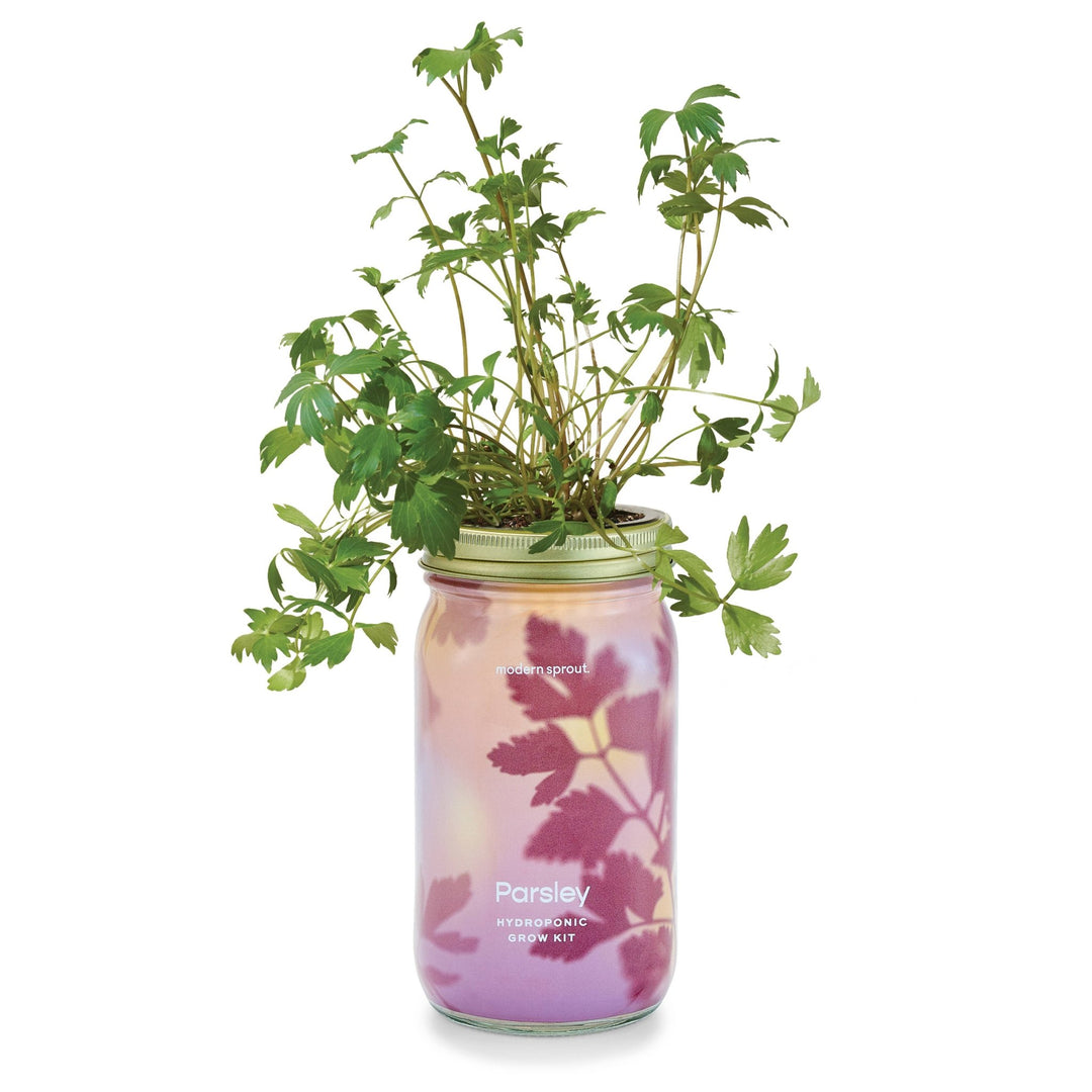Herb Garden Jar - Davidson Provision Co.