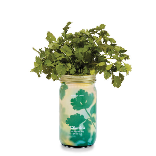 Herb Garden Jar - Davidson Provision Co.