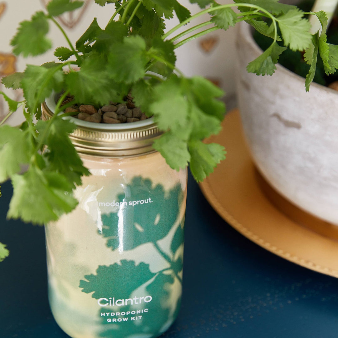 Herb Garden Jar - Davidson Provision Co.