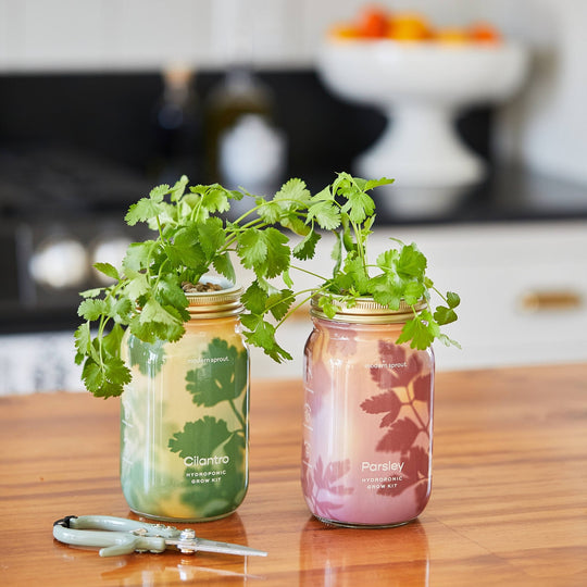 Herb Garden Jar - Davidson Provision Co.