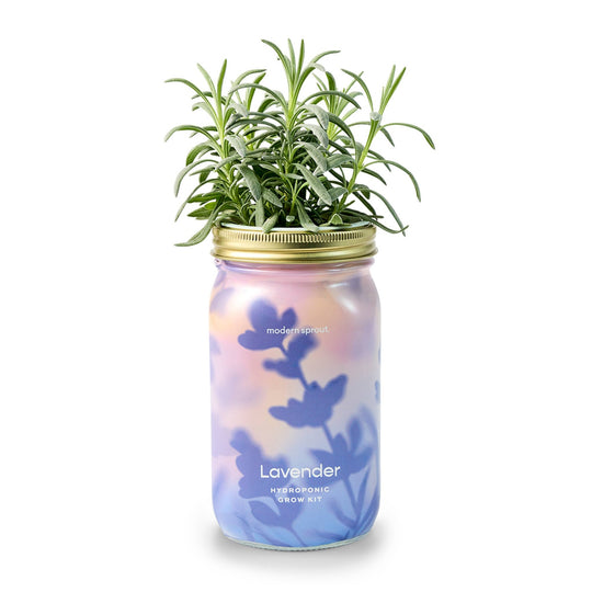Herb Garden Jar - Davidson Provision Co.