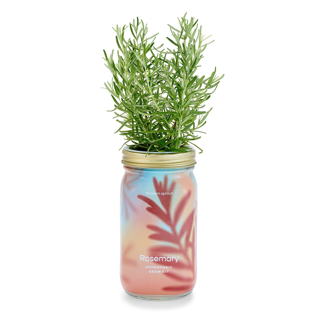 Herb Garden Jar - Davidson Provision Co.