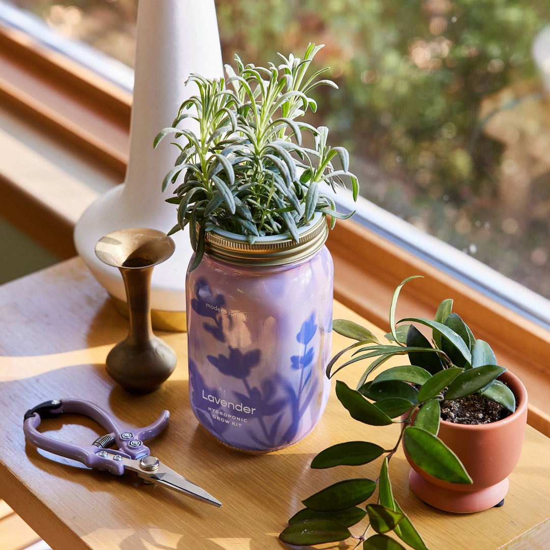 Herb Garden Jar - Davidson Provision Co.
