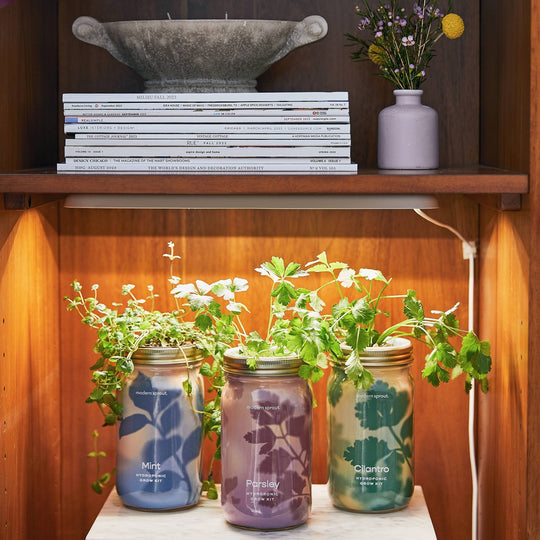 Herb Garden Jar - Davidson Provision Co.