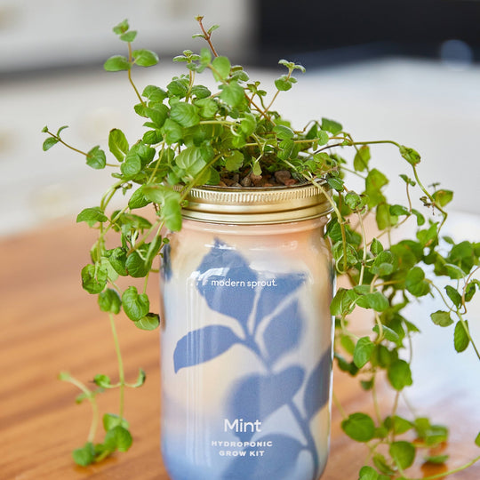 Herb Garden Jar - Davidson Provision Co.