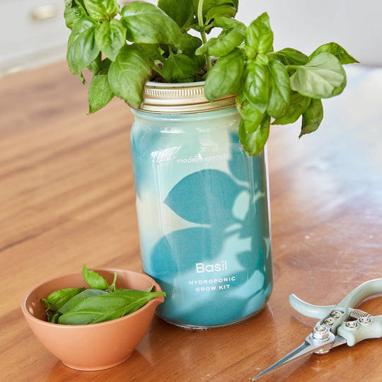 Herb Garden Jar - Davidson Provision Co.
