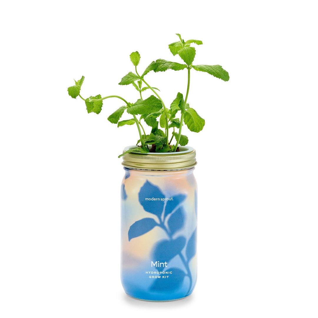 Herb Garden Jar - Davidson Provision Co.