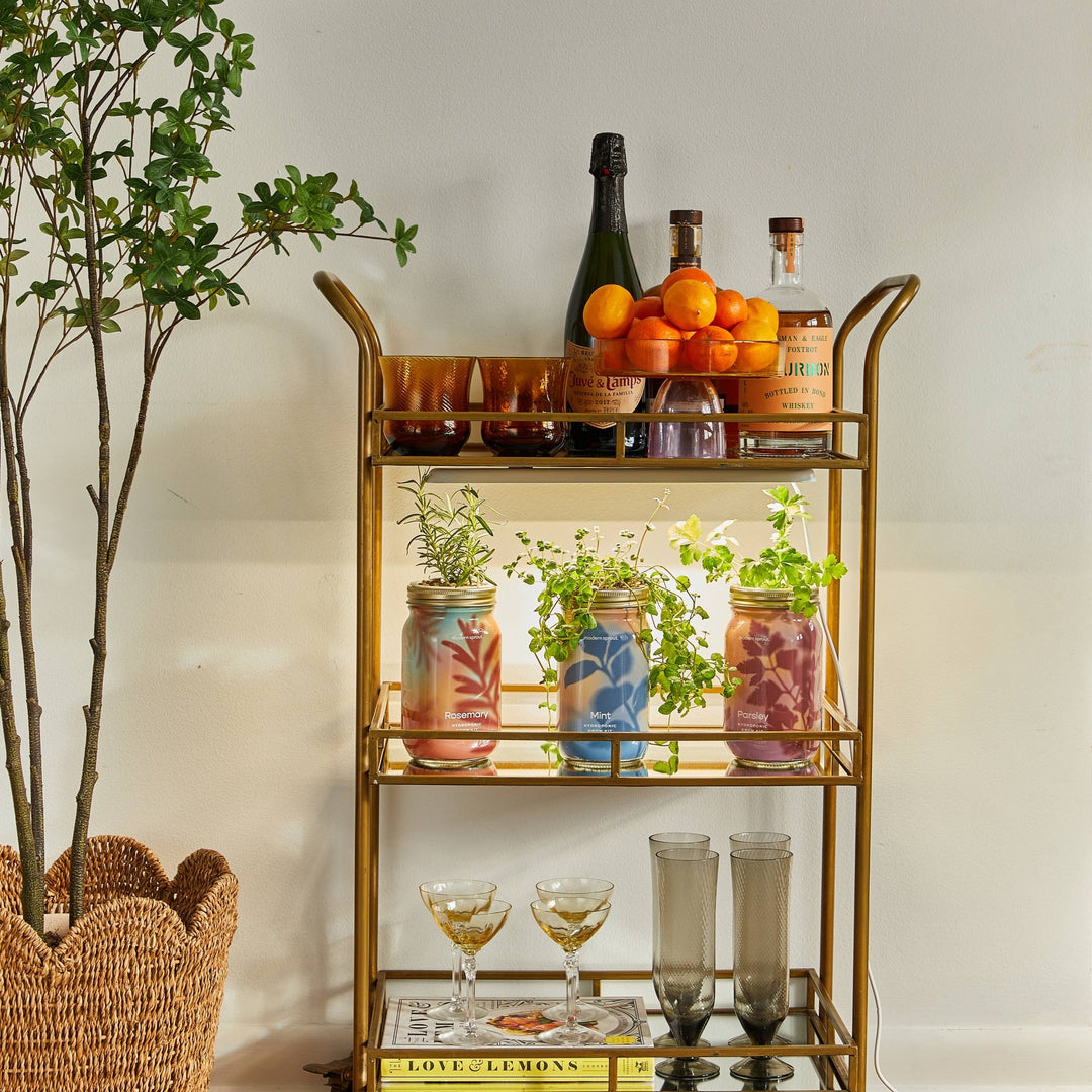 Herb Garden Jar - Davidson Provision Co.