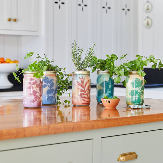 Herb Garden Jar - Davidson Provision Co.