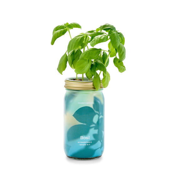 Herb Garden Jar - Davidson Provision Co.