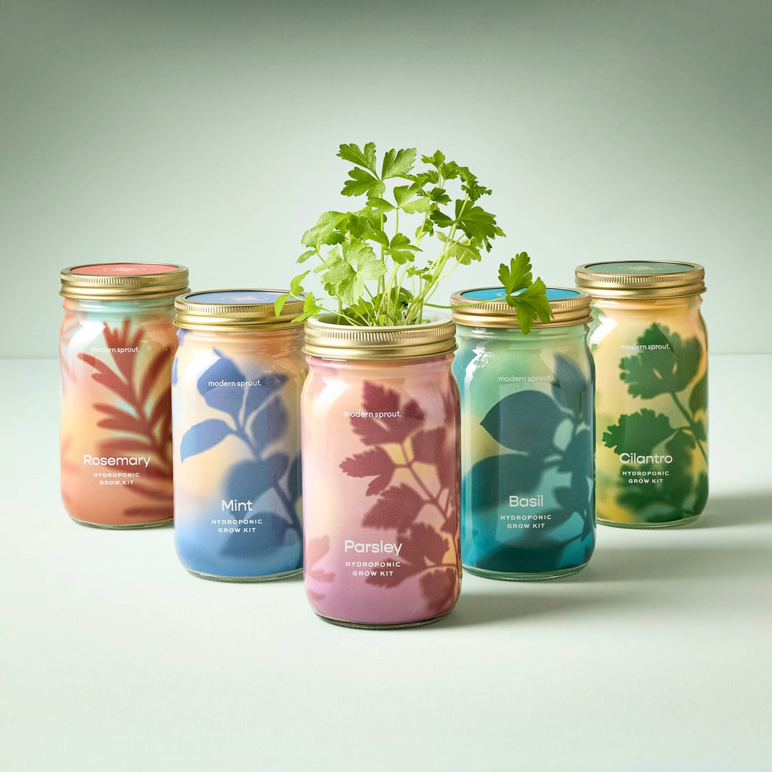 Herb Garden Jar - Davidson Provision Co.