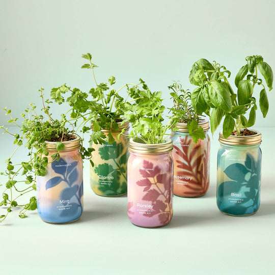 Herb Garden Jar - Davidson Provision Co.