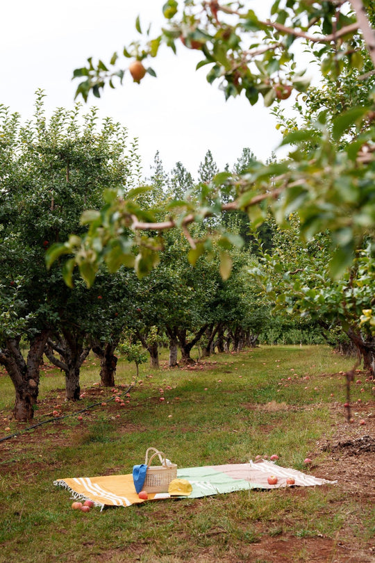 Horizonte Manzana Blanket Roll - Davidson Provision Co.