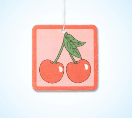 Make Scents Air Fresheners - Davidson Provision Co.