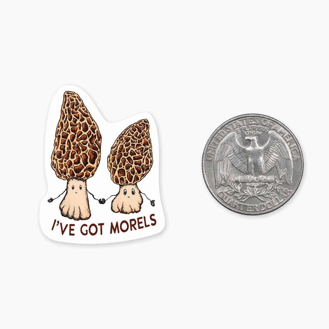 Morels - Mini Sticker - Davidson Provision Co.