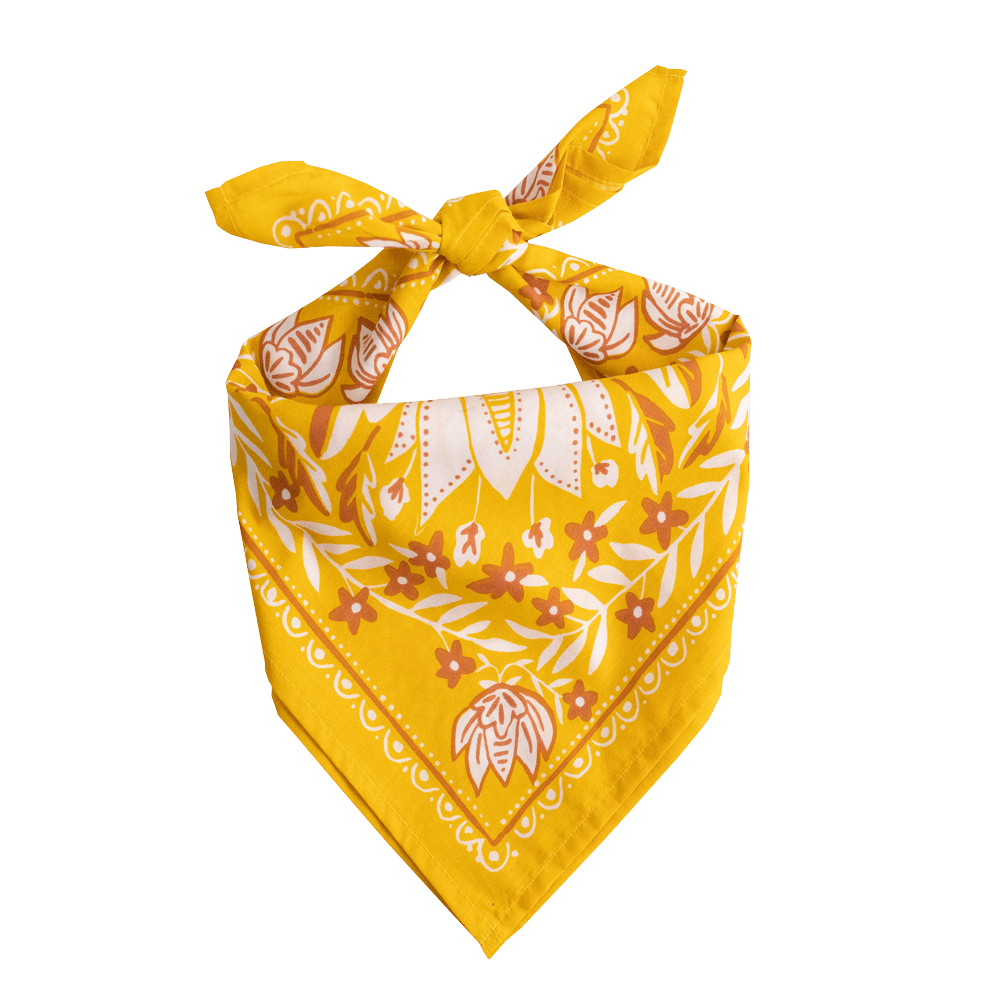 No. 051 Antonia Bandana - Davidson Provision Co.