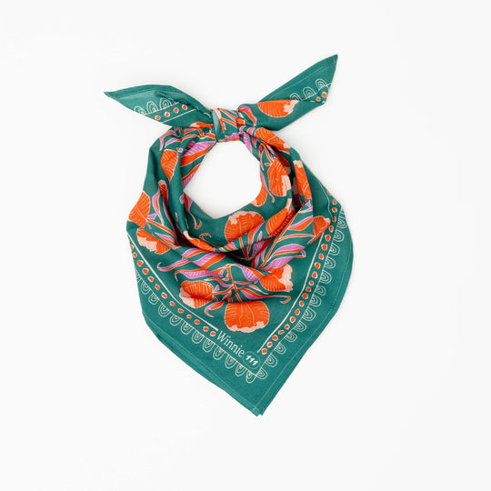 No. 111 Winnie Bandana - Davidson Provision Co.