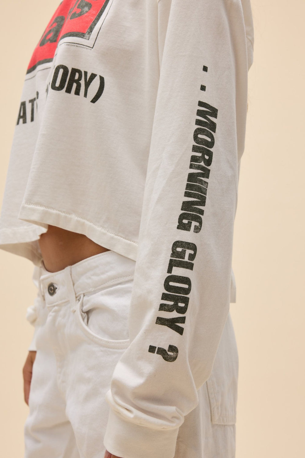 Oasis Morning Glory Meet & Greet Long Sleeve - Davidson Provision Co.