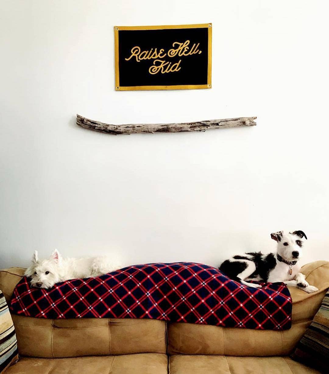 Oxford Pennant - Raise Hell, Kid Camp Flag - Davidson Provision Co.