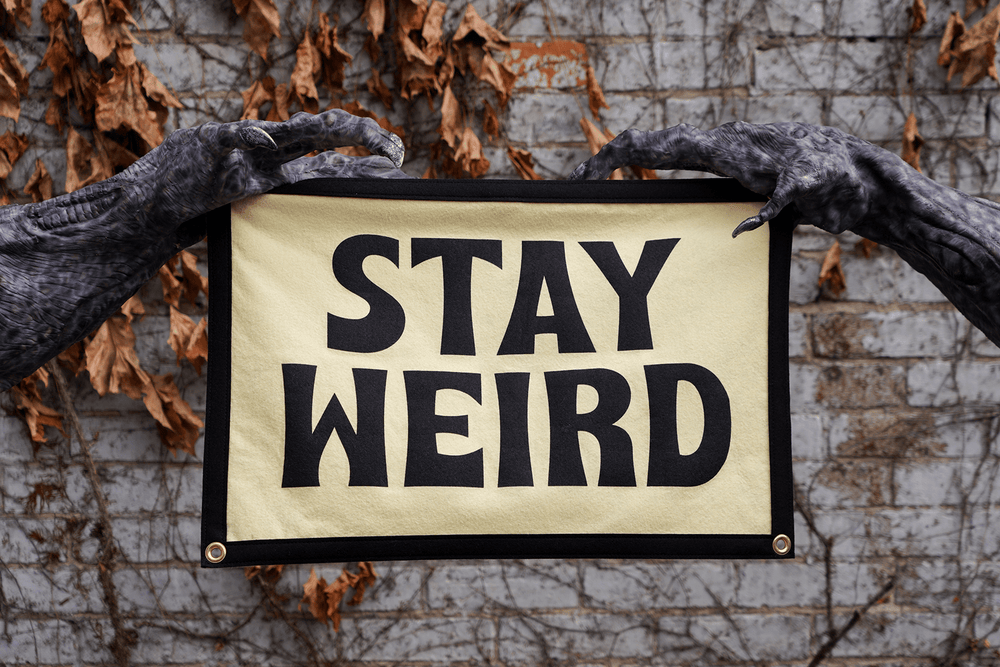 Oxford Pennant - Stay Weird Camp Flag - Davidson Provision Co.