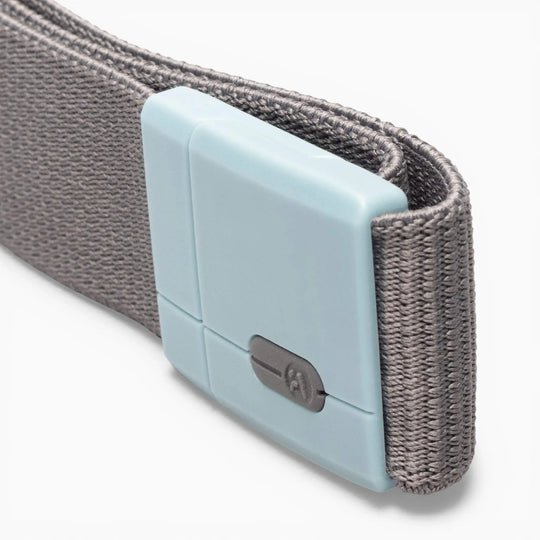 Polar Mag Belt in Charcoal/Cove, buckle close up