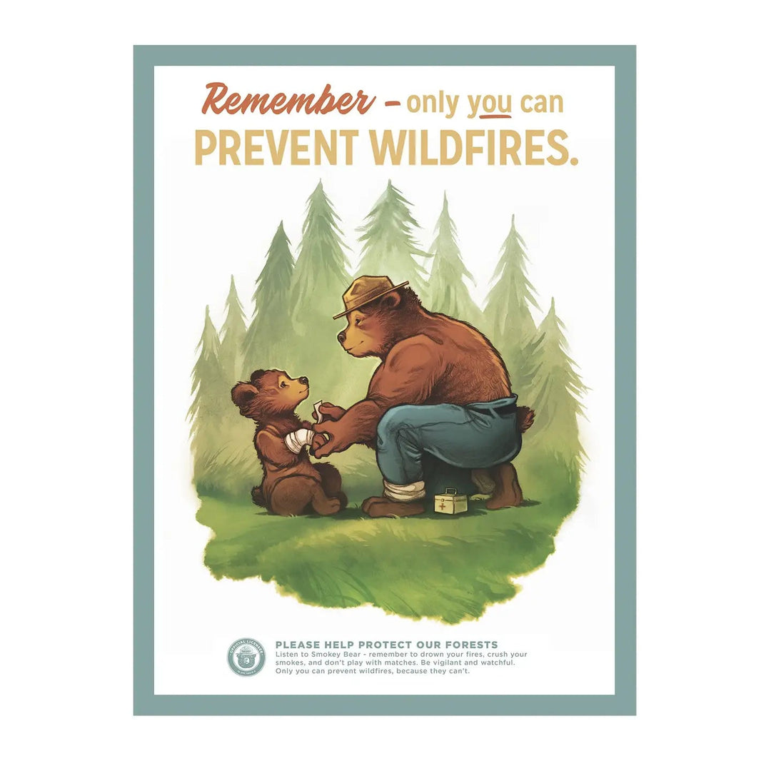 Prevent Wildfires Poster - Davidson Provision Co.
