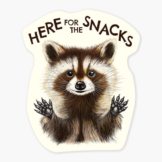 Raccoon Snacks - 3" Art Sticker - Davidson Provision Co.