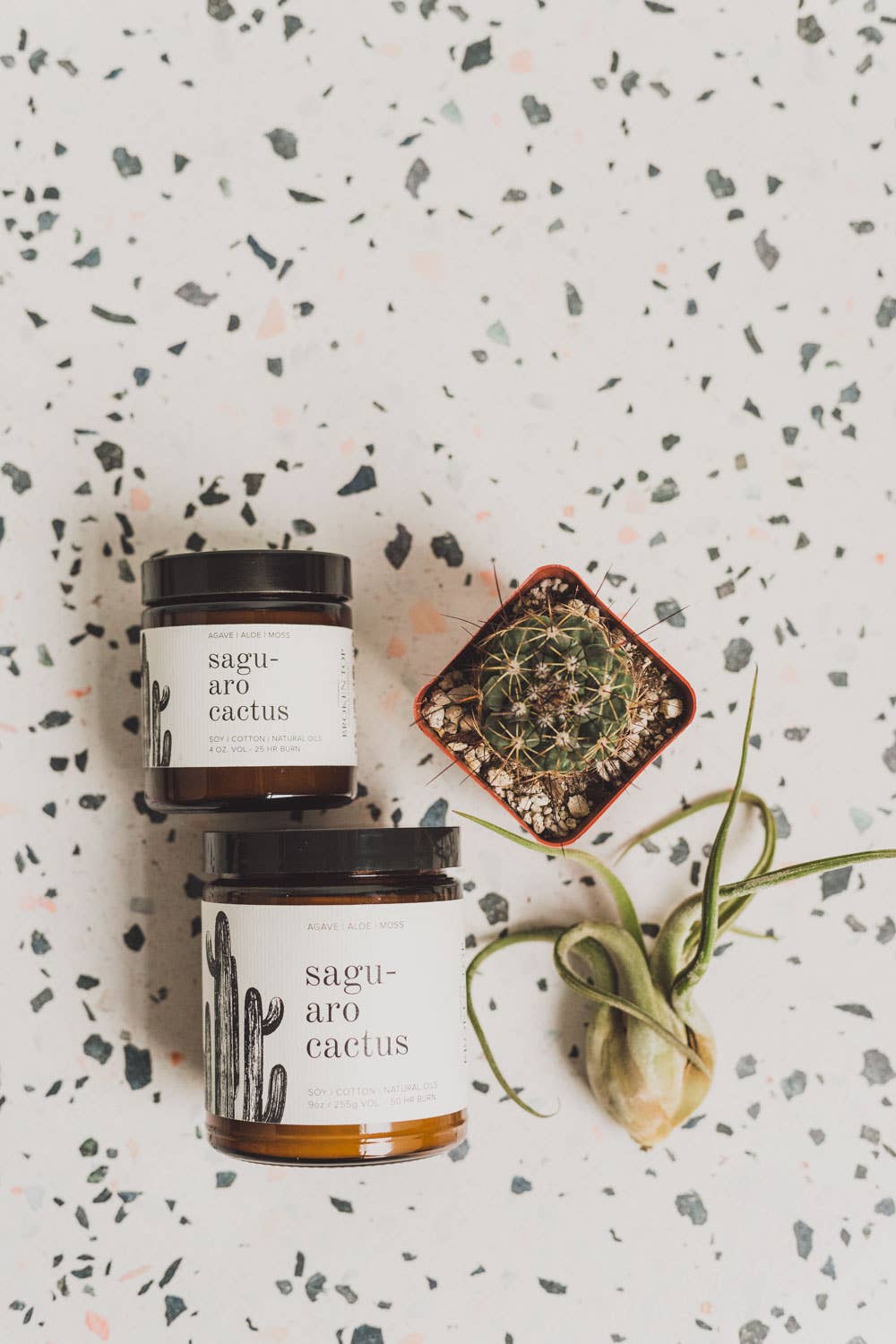 Saguaro Cactus 9oz Soy Candle - Davidson Provision Co.