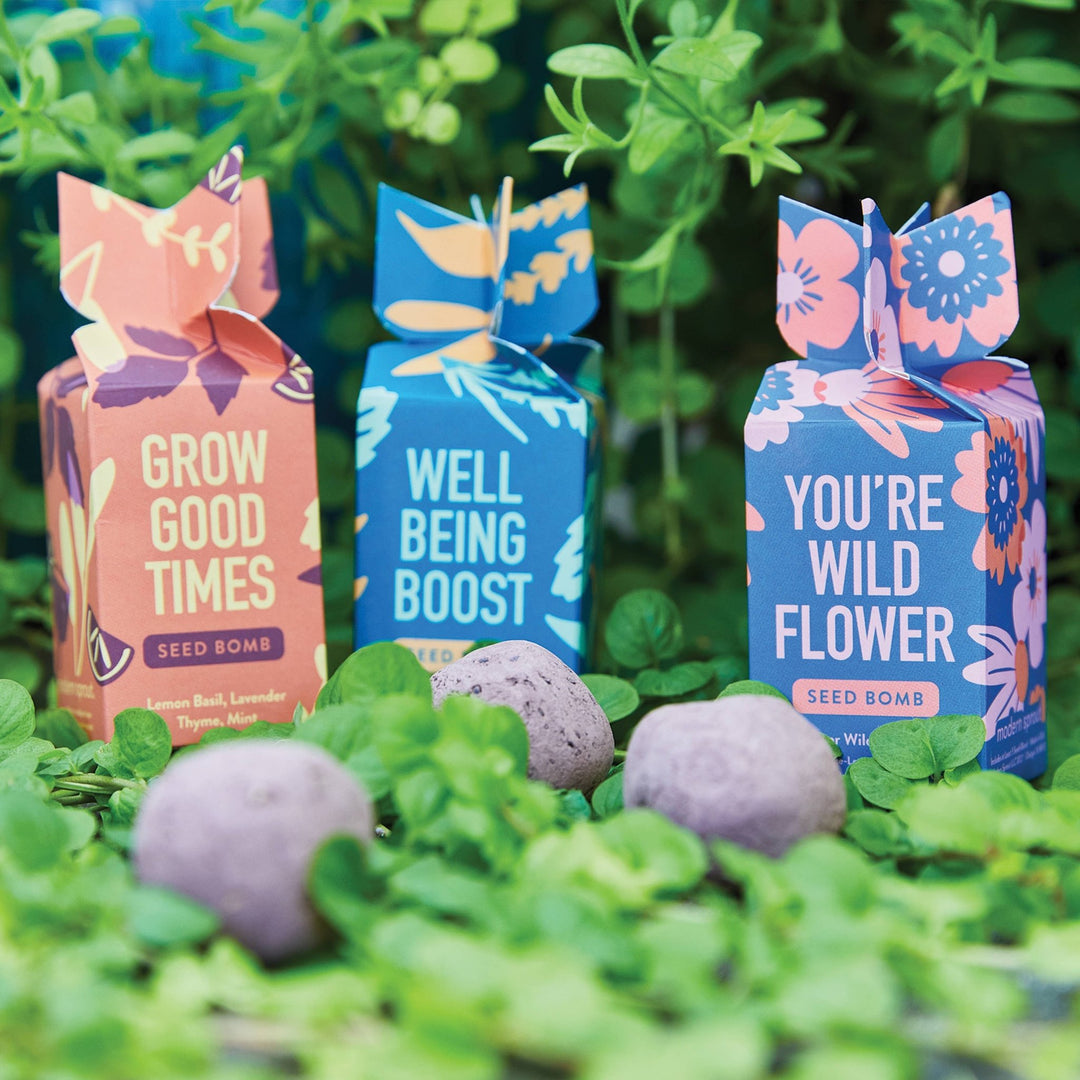 Seed Bomb - Davidson Provision Co.