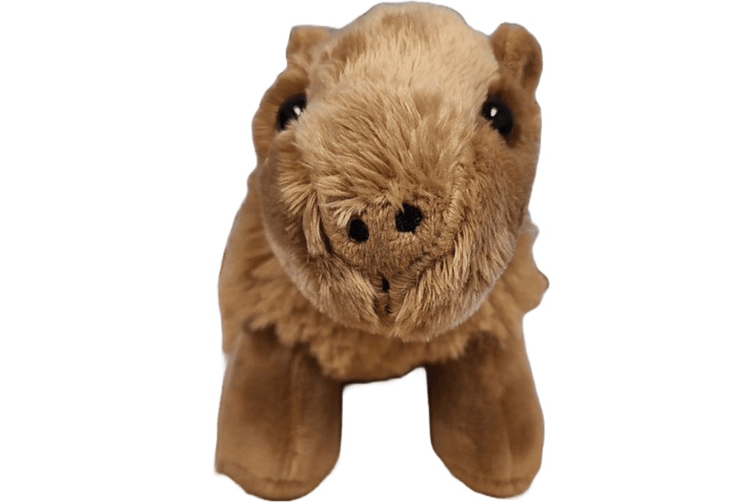 Steve the Canned Capybara - Davidson Provision Co.
