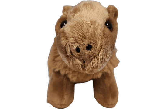 Steve the Canned Capybara - Davidson Provision Co.