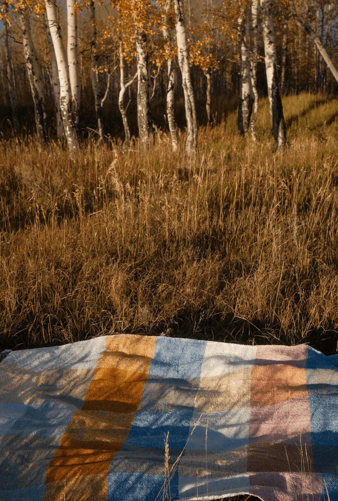 Suave Campo - Blanket Roll - Davidson Provision Co.