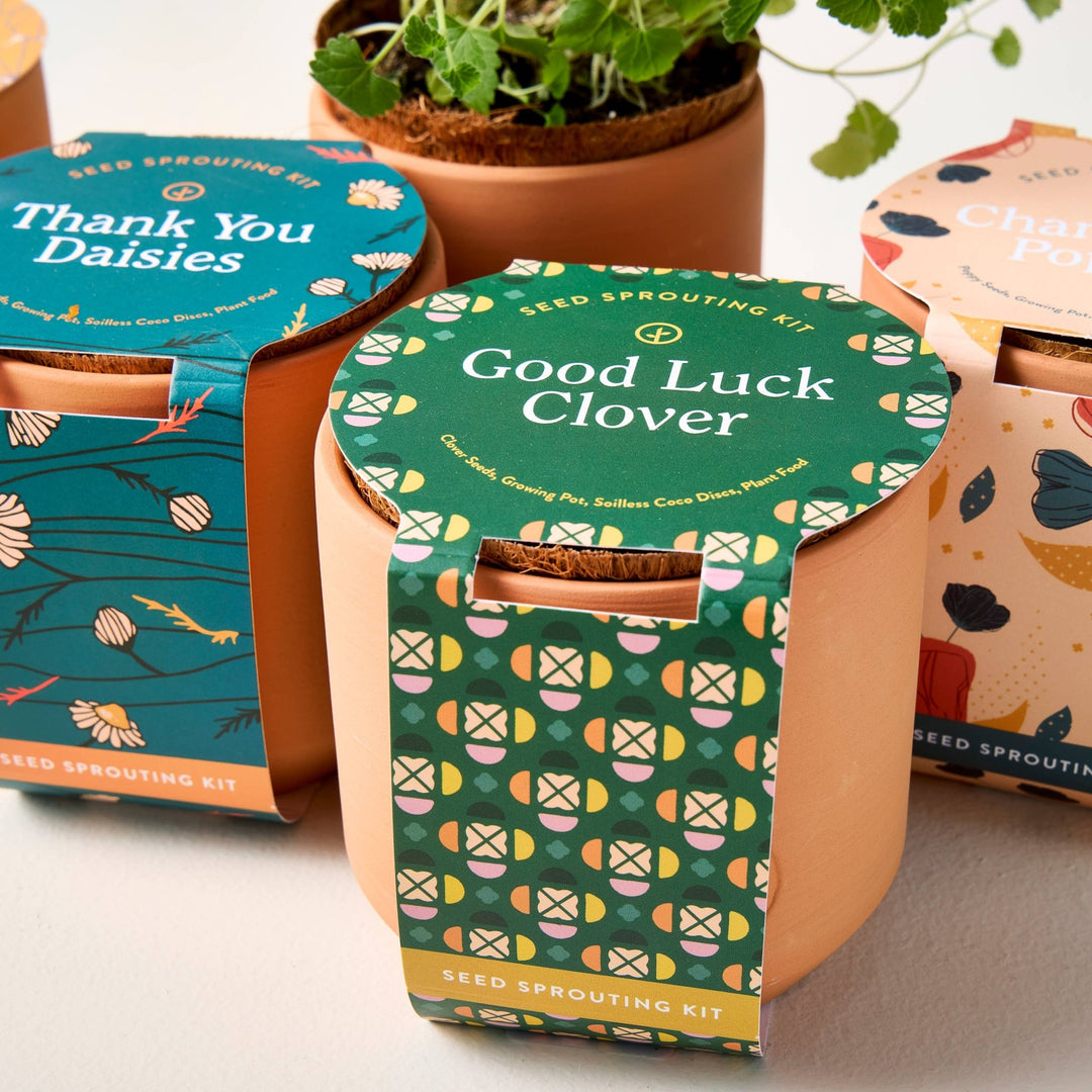 Tiny Terracotta Grow Kits - Davidson Provision Co.