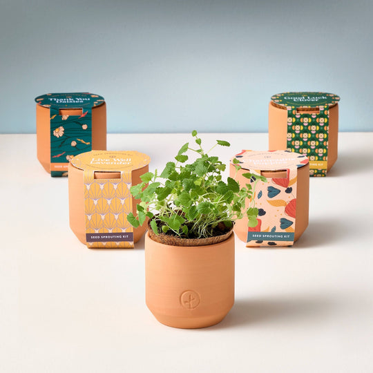 Tiny Terracotta Grow Kits - Davidson Provision Co.