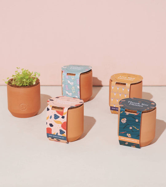 Tiny Terracotta Grow Kits - Davidson Provision Co.