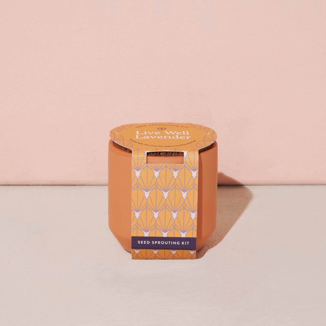 Tiny Terracotta Grow Kits - Davidson Provision Co.