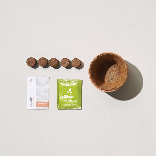 Tiny Terracotta Grow Kits - Davidson Provision Co.