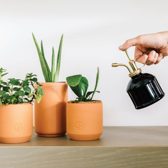 Tiny Terracotta Grow Kits - Davidson Provision Co.