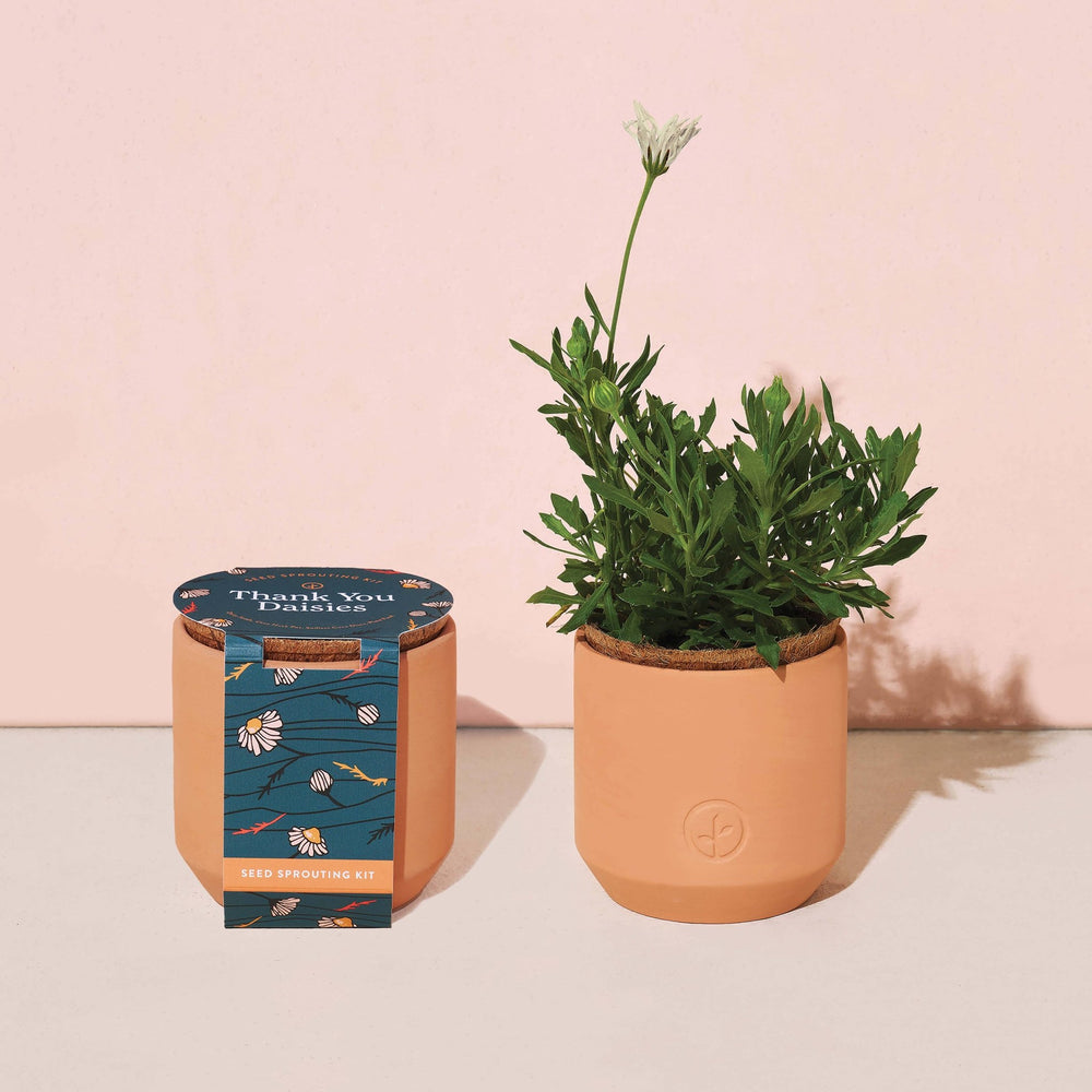 Tiny Terracotta Grow Kits - Davidson Provision Co.