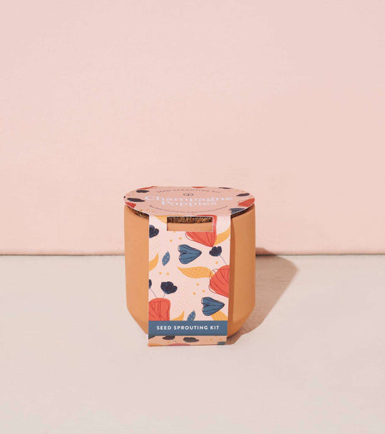 Tiny Terracotta Grow Kits - Davidson Provision Co.