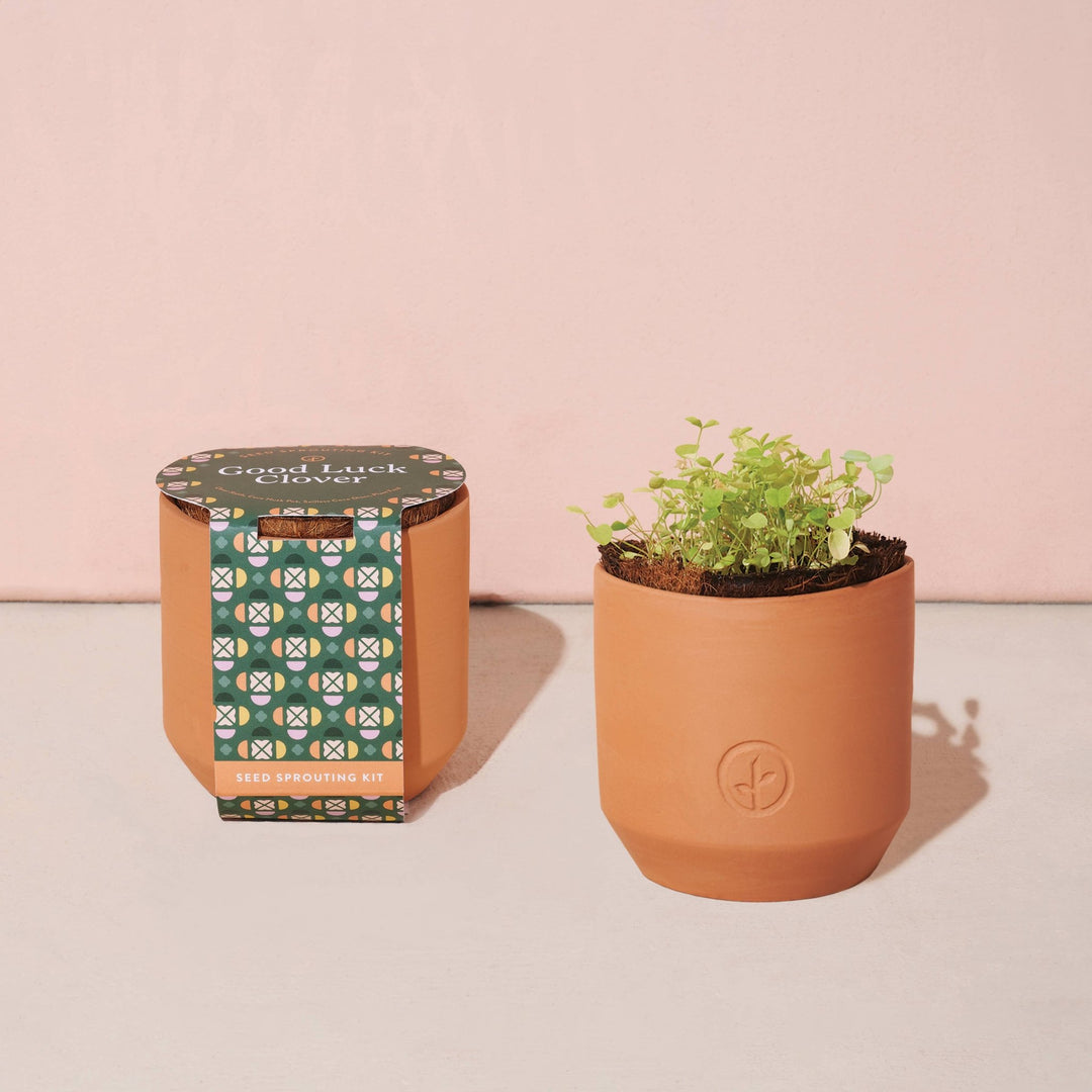 Tiny Terracotta Grow Kits - Davidson Provision Co.