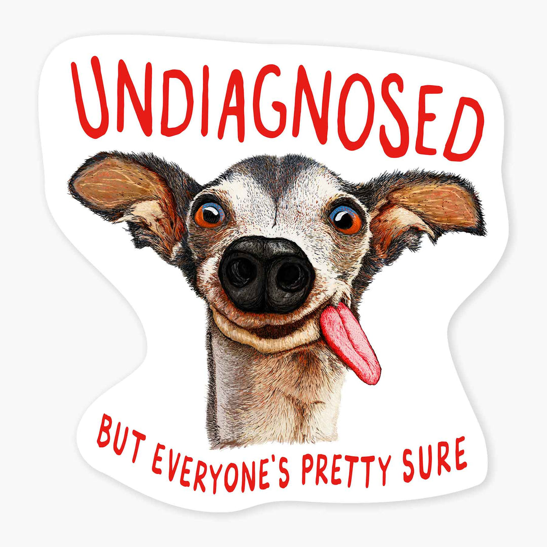 Undiagnosed - 3" Art Sticker - Davidson Provision Co.