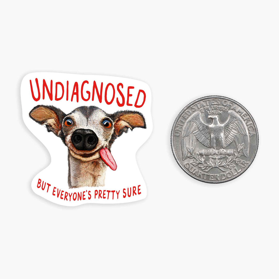 Undiagnosed - Mini Sticker - Davidson Provision Co.