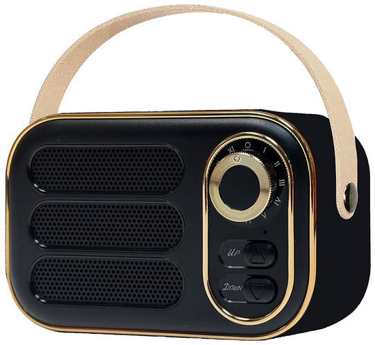 Vintage Bluetooth Speaker - Davidson Provision Co.