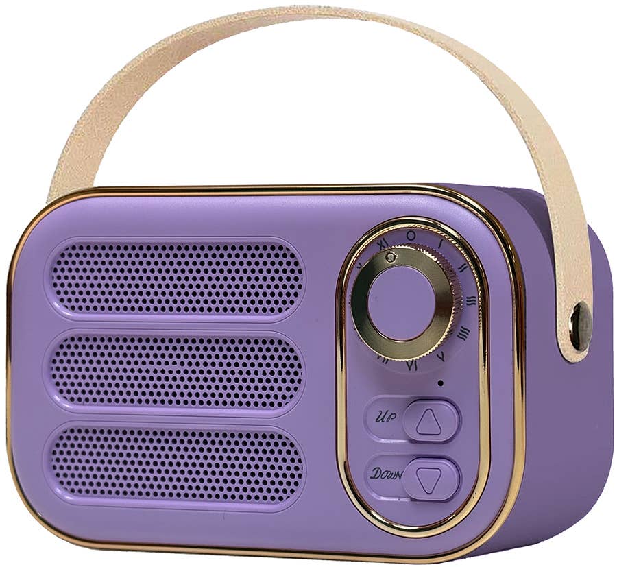 Vintage Bluetooth Speaker - Davidson Provision Co.