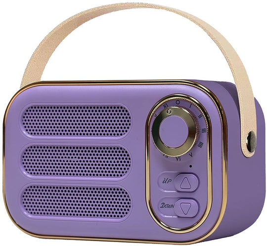 Vintage Bluetooth Speaker - Davidson Provision Co.