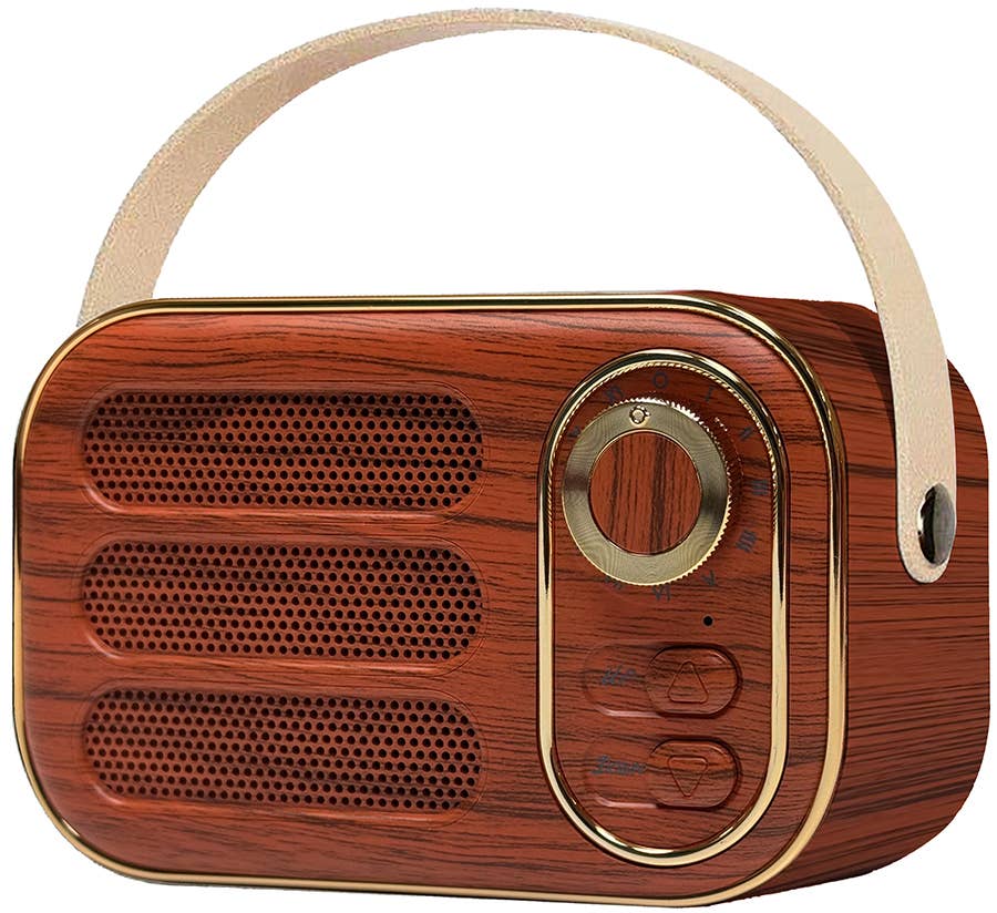 Vintage Bluetooth Speaker - Davidson Provision Co.